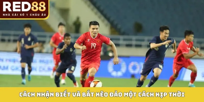 Cách nhận biết và bắt kèo đảo một cách kịp thời