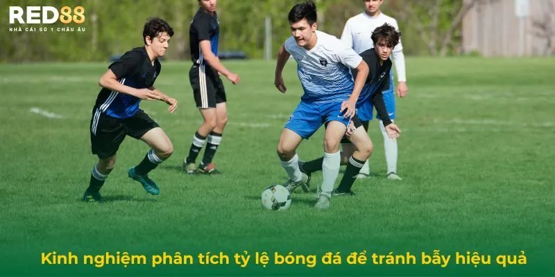 Kinh Nghiệm Phân Tích Tỷ Lệ Bóng Đá Và Tránh Bẫy Hiệu Quả 2 Kinh nghiệm phân tích tỷ lệ bóng đá để tránh bẫy hiệu quả
